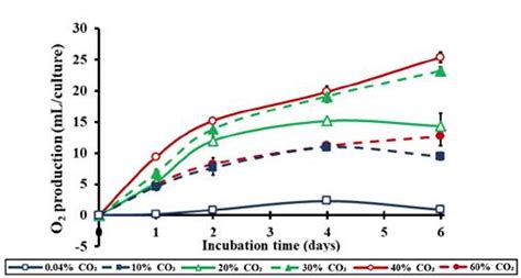 Grafico della produzione di O2 da Chlorella vulgaris con alta CO2