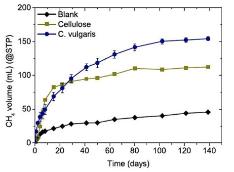 Grafico di produzione di metano da Chlorella vulgaris e cellulosa