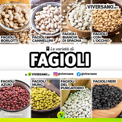 Infografica sui benefici dei fagioli azuki per la salute