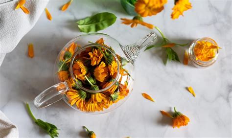 Ingrediente Calendula in fiore