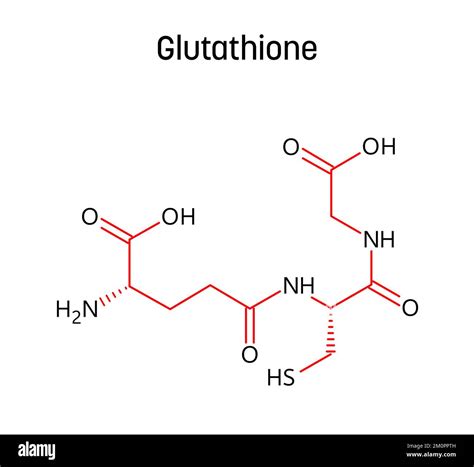 Schema sull'azione antiossidante del Glutatione