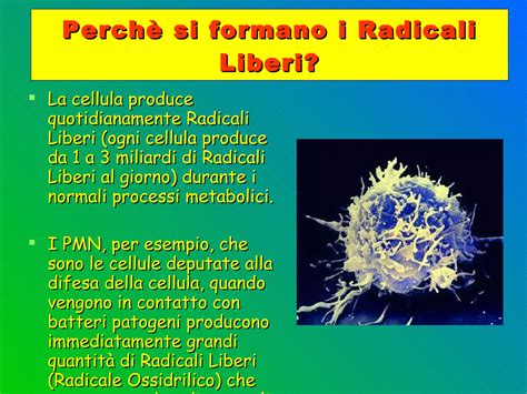 Illustrazione dei radicali liberi che attaccano le cellule