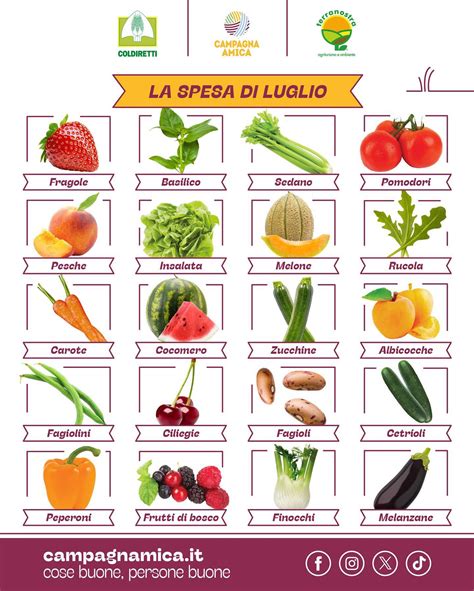 Carosello di frutta e verdura colorata ricca di antiossidanti