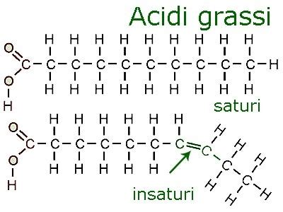 Struttura chimica degli acidi grassi Omega-3