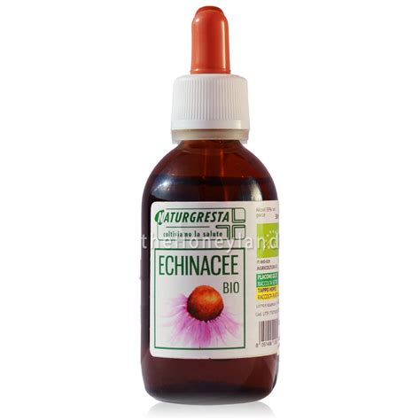 Echinacea in diverse forme: tintura, capsule, crema