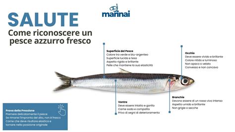 pesce azzurro e frutta secca