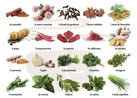 erbe aromatiche e spezie benefiche per i polmoni