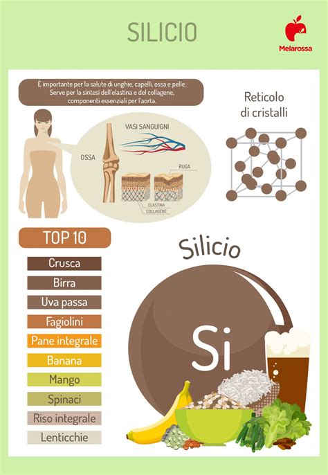Infografica sugli alimenti ricchi di silicio