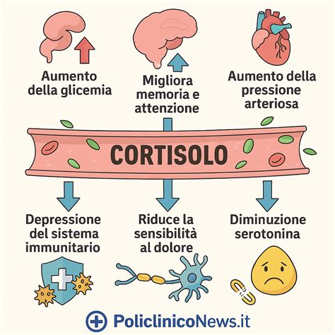 Grafico che mostra la riduzione dei livelli di cortisolo