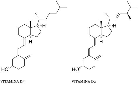 Infografica che illustra la differenza tra le diverse forme di vitamina D (D2 e D3) e le loro fonti