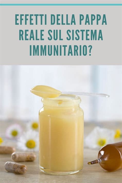 Attrezzi per l'estrazione della pappa reale: siringa e sistema a decompressione