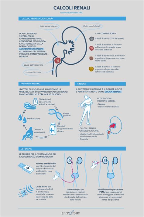 Infografica sui fattori scatenanti della cistite