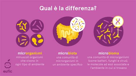 Infografica sui tipi di microrganismi intestinali