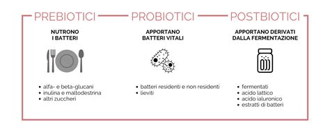 Infografica che spiega la differenza tra probiotici e postbiotici