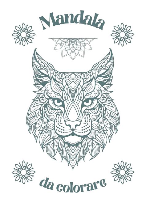 Dosaggio dell'acetilcisteina per adulti e bambini