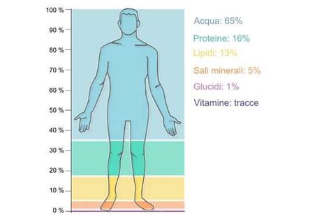 ruolo dei sali minerali nel corpo umano