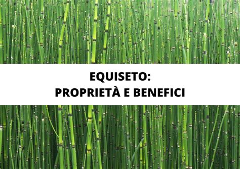 Schema dei benefici dell'equiseto