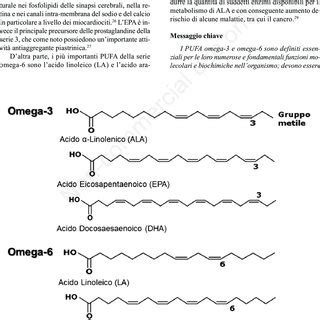 Schema degli acidi grassi Omega-3, Omega-6 e Omega-9