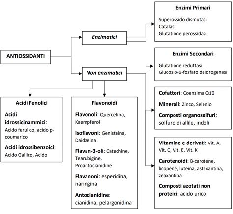 Ciclo di rigenerazione degli antiossidanti con acido lipoico