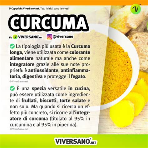 Infografica sui benefici della curcuma