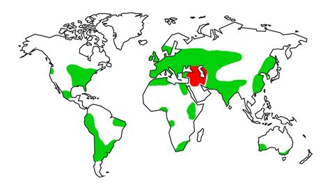 Mappa delle aree di coltivazione della curcuma