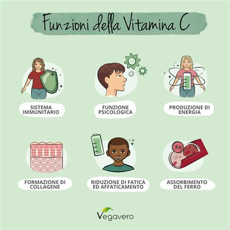Schema che illustra le molteplici funzioni della Vitamina C nel corpo umano