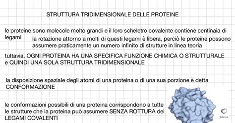 Struttura tridimensionale dell'esochinasi