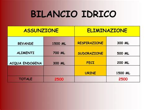 Schema del bilancio idro-elettrolitico nel corpo umano