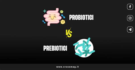 Infografica sui benefici dei probiotici e prebiotici per la salute intestinale