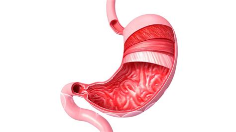 Farmaci antiacidi per il mal di stomaco