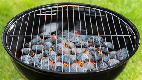 Diversi tipi di carbone e carbonella per barbecue
