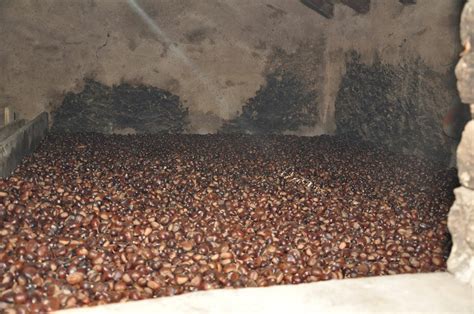 Interno di un metato tradizionale per l'essiccazione delle castagne