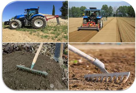 Schema della preparazione del terreno per la semina