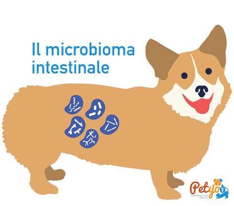 Schema del microbioma intestinale nel cane