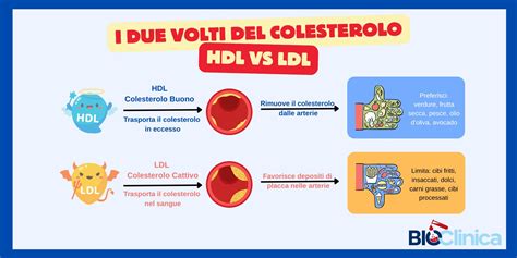 Diagramma del colesterolo buono (HDL) e cattivo (LDL)