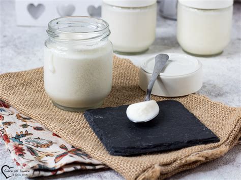 Yogurtiera e ingredienti per fare lo yogurt in casa