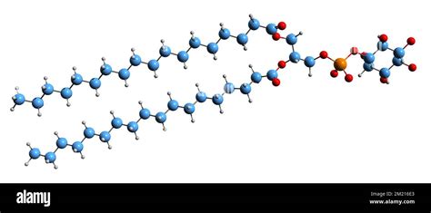 Struttura molecolare della Niacinamide