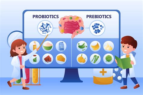 Infografica su come assumere i probiotici (es. lontano dai pasti)