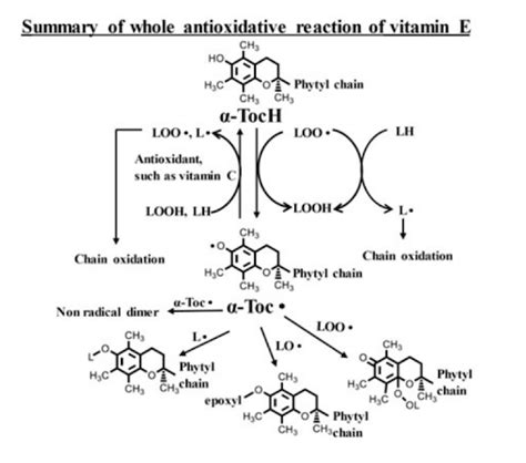 Vitamina C e la sua azione antiossidante