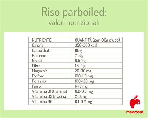 Schema dei benefici delle proteine del riso