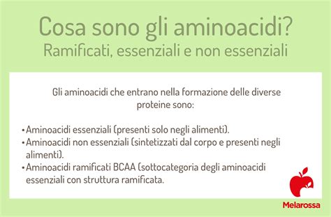 Infografica sui benefici degli aminoacidi ramificati per gli atleti