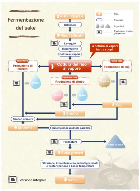 Processo di fermentazione del riso rosso