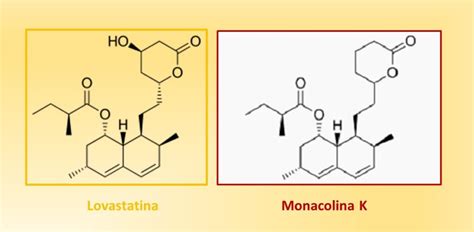 Tabella comparativa: Monacolina K vs Lovastatina
