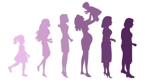 Grafico che mostra i livelli ormonali nelle diverse fasi della vita di una donna