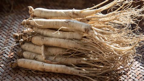 Radice di Eleuterococco