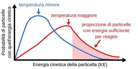 Grafico che mostra l'aumento della concentrazione con l'uso di Eleuterococco