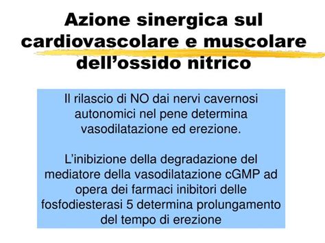 Schema del sistema cardiovascolare e azione dell'ossido nitrico