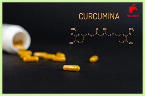 Schema di incapsulamento della curcumina