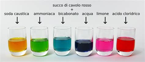 Esperimento della curcumina come indicatore di pH