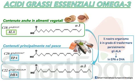 Diagramma degli acidi grassi Omega 3: ALA, EPA, DHA